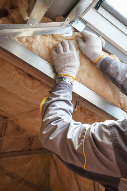 Best Commercial Insulation Services  in Seven Corners, VA